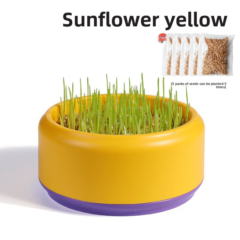Cat Grass Potted Seeds Soilless Hydroponic Catnip Growing Kit Kitten Snack Supplies