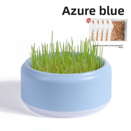 Cat Grass Potted Seeds Soilless Hydroponic Catnip Growing Kit Kitten Snack Supplies