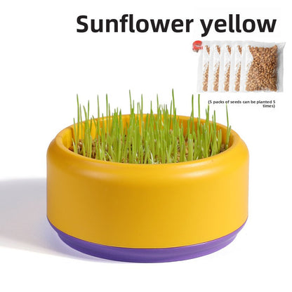 Cat Grass Potted Seeds Soilless Hydroponic Catnip Growing Kit Kitten Snack Supplies