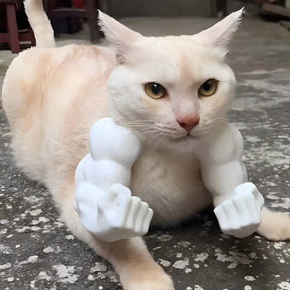 Funny Cat Muscle Arm Toy Decoration