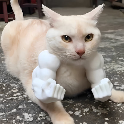 Funny Cat Muscle Arm Toy Decoration
