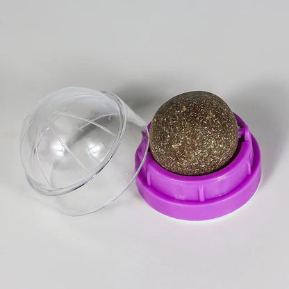 Cat Toys